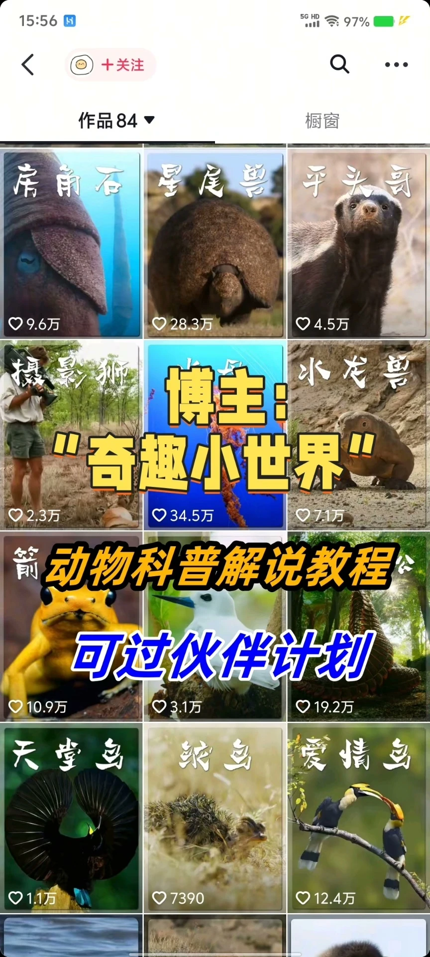 【精】奇趣小世界dy大v博主课程动物百科解说教程剪辑实操视频原创文案思路讲解-创业猫 【精】奇趣小世界dy大v博主课程动物百科解说教程剪辑实操视频原创文案思路讲解-创业猫