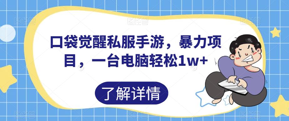 口袋觉醒私服手游，暴力项目，一台电脑轻松1w+【揭秘】-七量思维