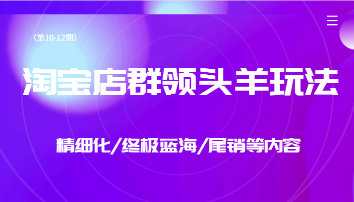 淘宝店群领头羊玩法，精细化/终极蓝海/尾销等内容（第10-12期）-七量思维