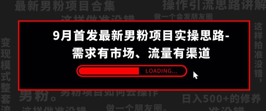 9月首发最新男粉项目实操思路-需求有市场，流量有渠道【揭秘】-七量思维