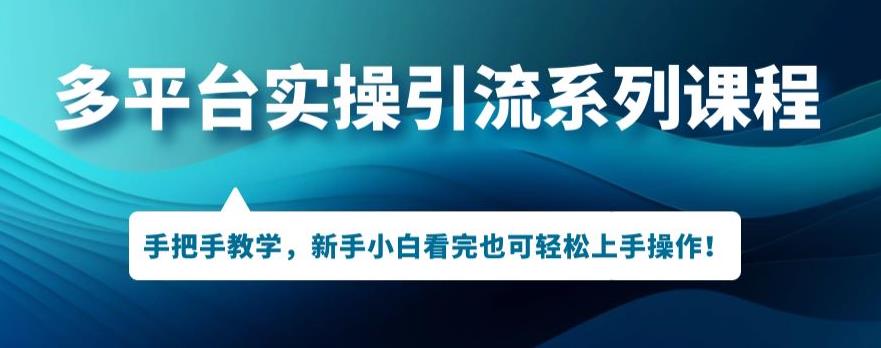 多平台引流实操系列课程，新手小白看完也可轻松上手进行引流操作-七量思维