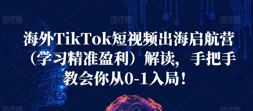 海外TikTok短视频出海启航营（学习精准盈利）解读，手把手教会你从0-1入局！-七量思维