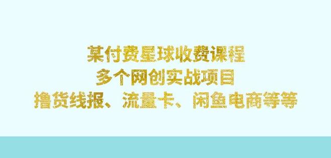 某付费星球课程：多个网创实战项目，撸货线报、流量卡、闲鱼电商等（文档非视频）-七量思维