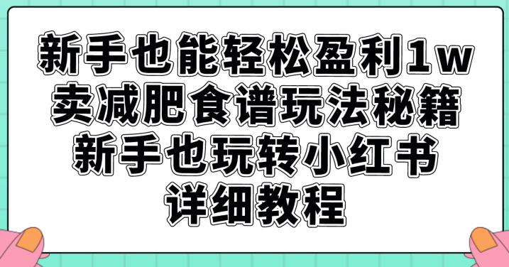 新手也能轻松盈利1w，卖减肥食谱玩法秘籍，新手也玩转小红书详细教程【揭秘】-七量思维