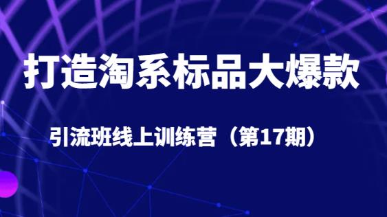 打造淘系标品大爆款引流班线上训练营（第17期）5天直播授课-七量思维