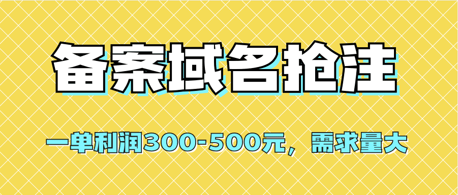 （7277期）【全网首发】备案域名抢注，一单利润300-500元，需求量大-七量思维