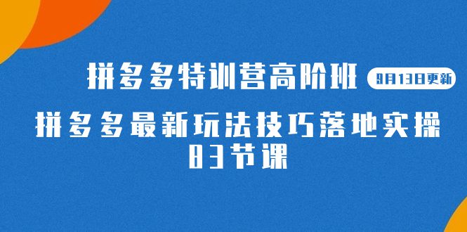 （7295期）2023拼多多·特训营高阶班【9月13日更新】拼多多最新玩法技巧落地实操-83节-七量思维