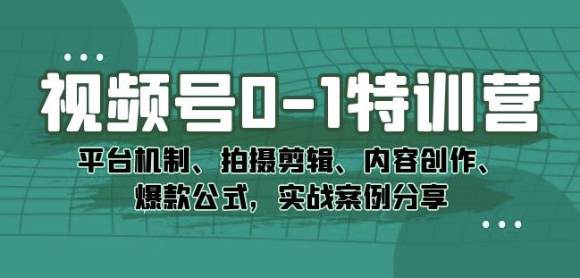 视频号0-1特训营：平台机制、拍摄剪辑、内容创作、爆款公式，实战案例分享-七量思维