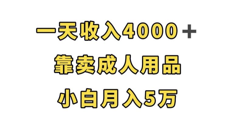 一天收入4000+，靠卖成人用品，小白轻松月入5万【揭秘】-七量思维