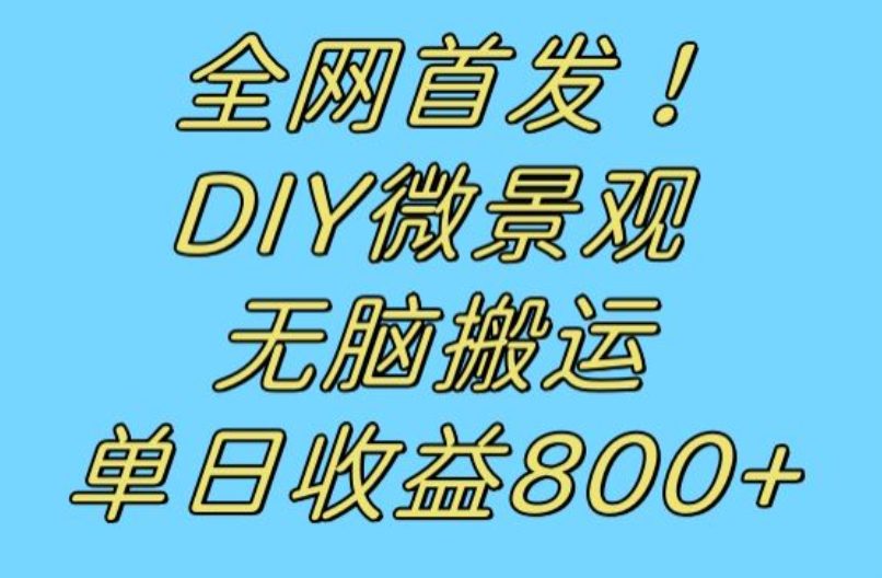 全网首发冷门赛道！DIY微景观，无脑搬运视频，日收益800+【揭秘】-七量思维