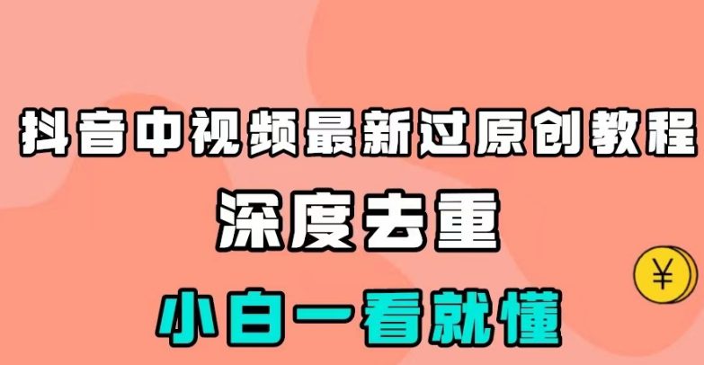 抖音中视频最新过原创教程，深度去重，小白一看就懂【揭秘】-七量思维