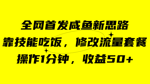 （7508期）咸鱼冷门新玩法，靠“技能吃饭”，修改流量套餐，操作1分钟，收益50+-七量思维