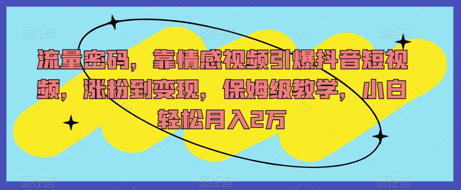 流量密码，靠情感视频引爆抖音短视频，涨粉到变现，保姆级教学，小白轻松月入2万【揭秘】-七量思维