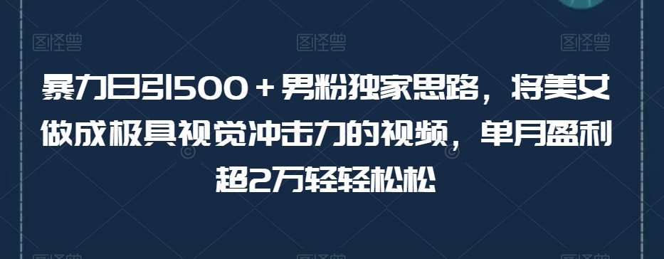 暴力日引500＋男粉独家思路，将美女做成极具视觉冲击力的视频，单月盈利超2万轻轻松松-七量思维