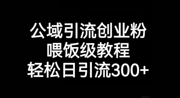 公域引流创业粉，喂饭级教程，轻松日引流300+【揭秘】-七量思维