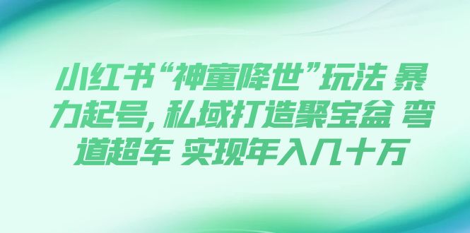 （7673期）小红书“神童降世”玩法 暴力起号,私域打造聚宝盆 弯道超车 实现年入几十万-七量思维