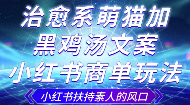 治愈系萌猫加+黑鸡汤文案，小红书商单玩法，3~10天涨到1000粉，一单200左右-七量思维