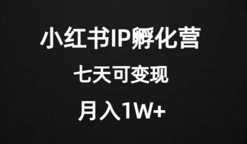 价值2000+的小红书IP孵化营项目，超级大蓝海，七天即可开始变现，稳定月入1W+-七量思维