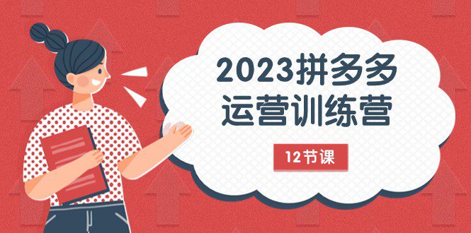 2023拼多多运营训练营：流量底层逻辑，免费+付费流量玩法（12节课）-七量思维