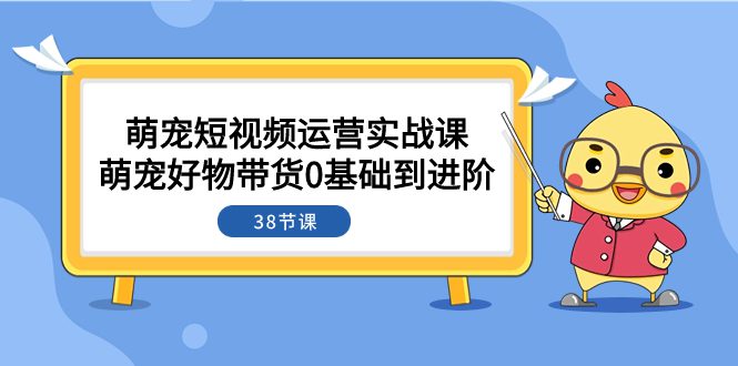 （7915期）萌宠·短视频运营实战课：萌宠好物带货0基础到进阶（38节课）-七量思维