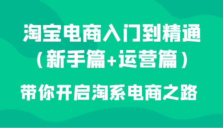 淘宝电商入门到精通（新手篇+运营篇）带你开启淘系电商之路-七量思维