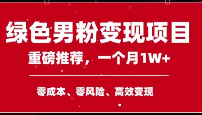 手机操作，月入1W以上副业领袖绿色男粉高客单价项目-七量思维