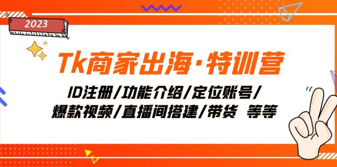 （7974期）Tk商家出海·特训营：ID注册/功能介绍/定位账号/爆款视频/直播间搭建/带货.-七量思维