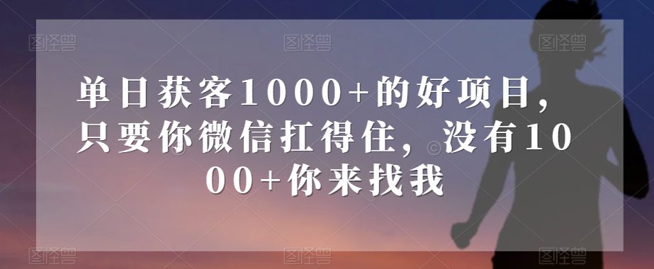 单日获客1000+的好项目，只要你微信扛得住，没有1000+你来找我【揭秘】-七量思维