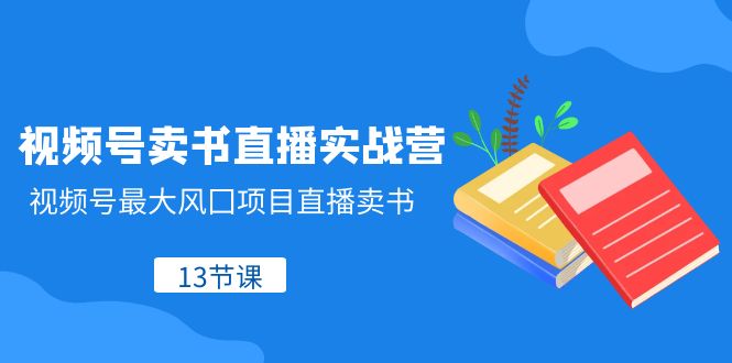 视频号卖书直播实战营，视频号最大风囗项目直播卖书（13节课）-七量思维