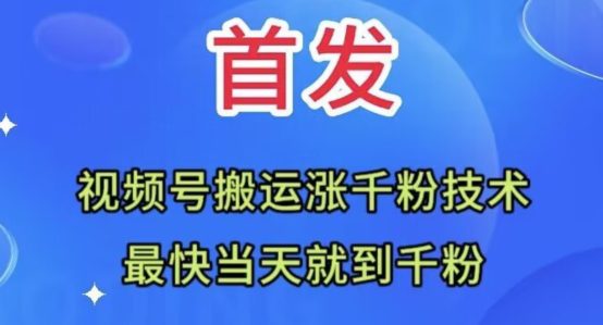 全网首发：视频号无脑搬运涨千粉技术，最快当天到千粉【揭秘】-七量思维