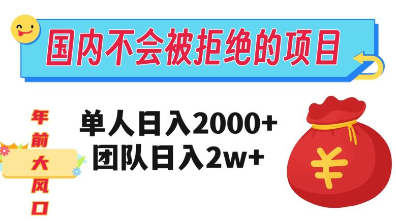 在国内不怕被拒绝的项目，单人日入2000，团队日入20000+【揭秘】-七量思维