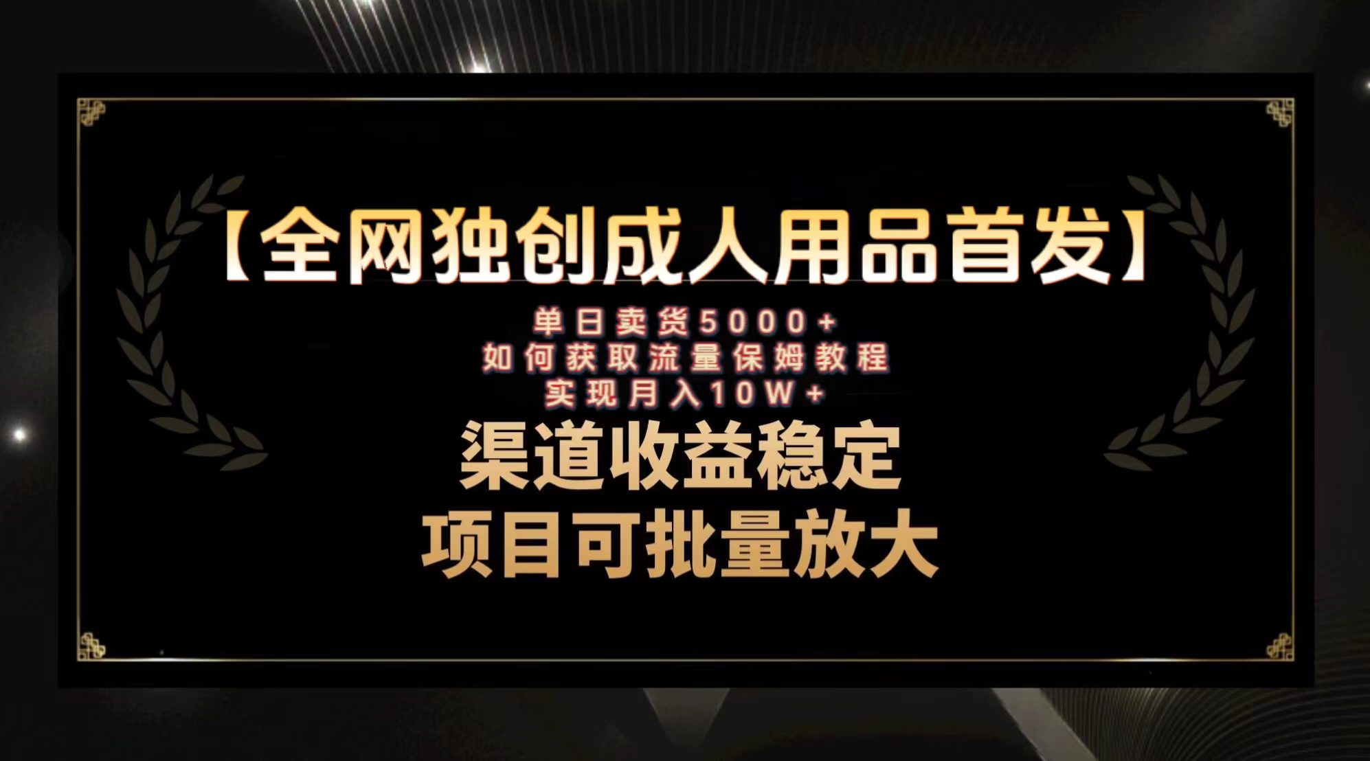 （8128期）最新全网独创首发，成人用品赛道引流获客，月入10w保姆级教程-七量思维