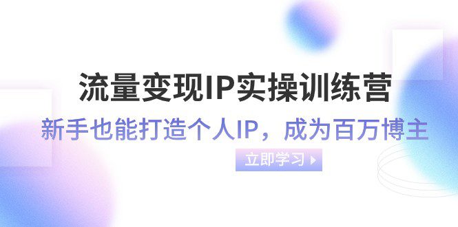 流量变现IP实操训练营：新手也能打造个人IP，成为百万 博主（46节课）-七量思维