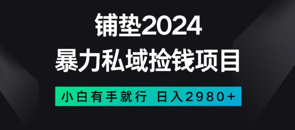 暴力私域捡钱项目，小白无脑操作，日入2980【揭秘】-七量思维