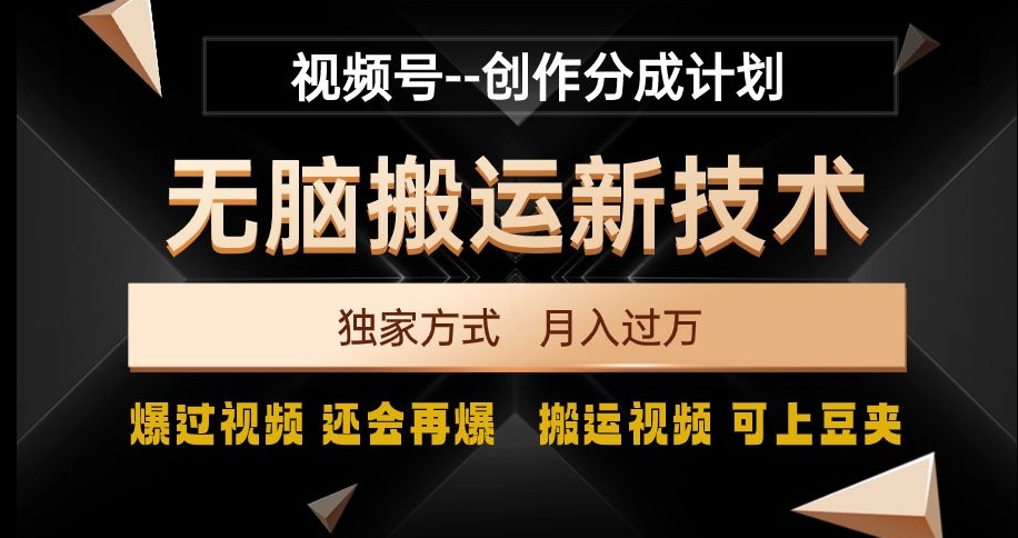 视频号无脑搬运新技术，破原创壕流量，独家方式，爆过视频，还会再爆【揭秘】-七量思维