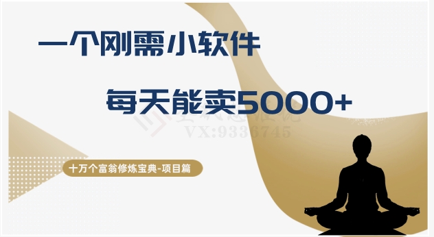 十万个富翁修炼宝典之17.一个刚需小软件，每天能卖5000+-七量思维