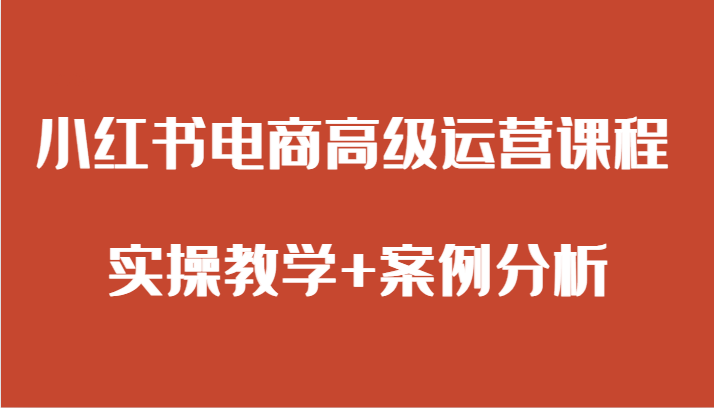 小红书电商高级运营课程 实操教学+案例分析-七量思维