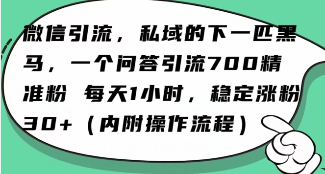 怎么搞精准创业粉？微信新赛道，每天一小时，利用Ai一个问答日引100精准粉-七量思维