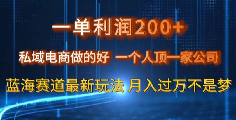 一单利润200私域电商做的好，一个人顶一家公司蓝海赛道最新玩法【揭秘】-七量思维