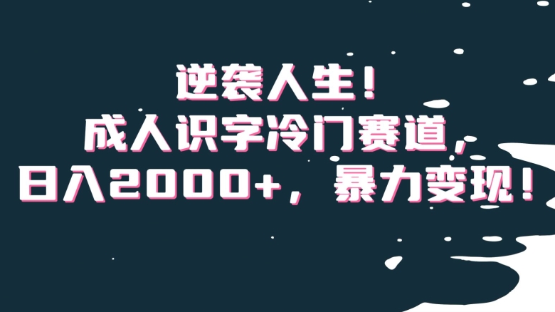 逆袭人生！成人识字冷门赛道，日入2000+，暴力变现！【揭秘】-七量思维