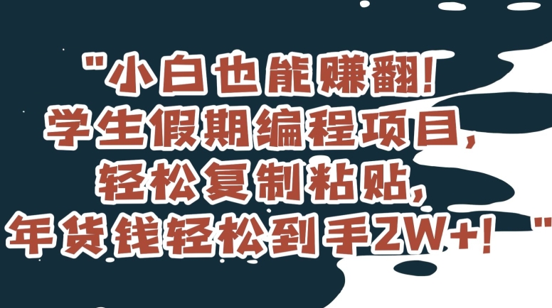 小白也能赚翻！学生假期编程项目，轻松复制粘贴，年货钱轻松到手2W+【揭秘】-七量思维