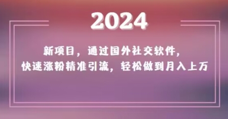 2024新项目，通过国外社交软件，快速涨粉精准引流，轻松做到月入上万【揭秘】-七量思维