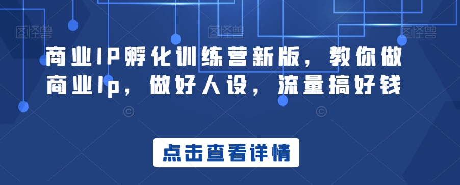 商业IP孵化训练营新版，教你做商业Ip，做好人设，流量搞好钱-七量思维