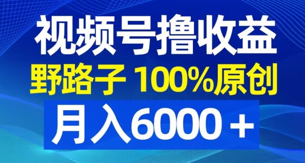 视频号野路子撸收益，100%原创，条条爆款，月入6000＋-七量思维