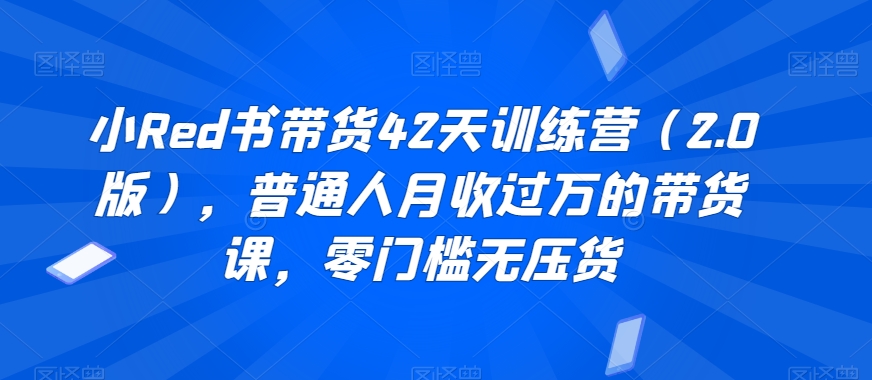 小Red书带货42天训练营（2.0版），普通人月收过万的带货课，零门槛无压货-七量思维