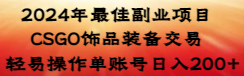 （8941期）2024年最佳副业项目 CSGO饰品装备交易 轻易操作单账号日入200+-七量思维