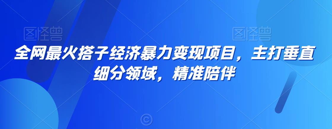 全网最火搭子经济暴力变现项目，主打垂直细分领域，精准陪伴-七量思维