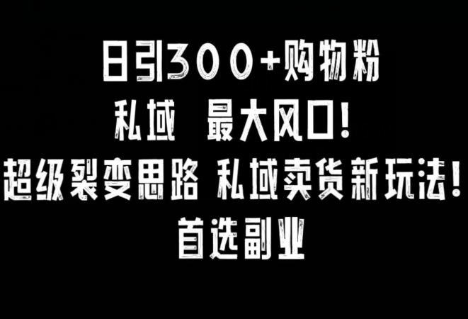 日引300+购物粉，超级裂变思路，私域卖货新玩法，小红书首选副业-七量思维