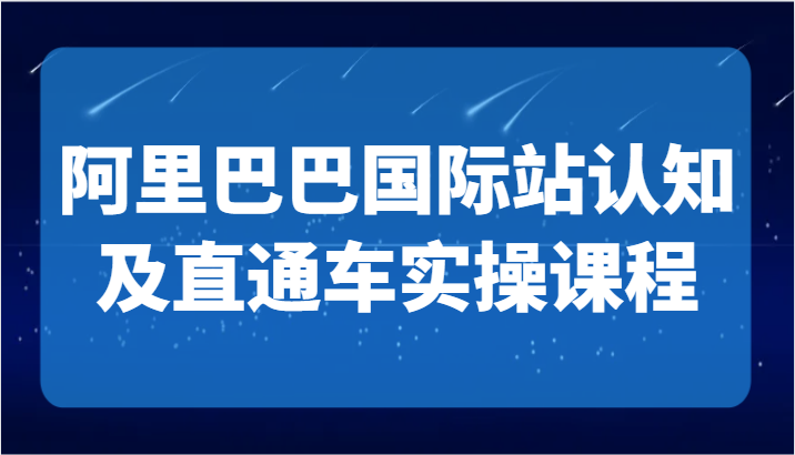 阿里巴巴国际站认知及直通车实操课-国际地产逻辑、国际站运营定位、TOP商家运营思路-七量思维