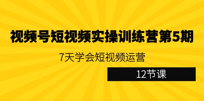 （9029期）视频号短视频实操训练营第5期：7天学会短视频运营（12节课）-七量思维